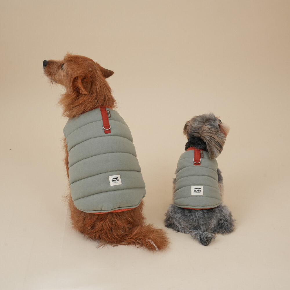【予約】Organic Latte Padded Vest