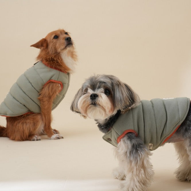 【予約】Organic Latte Padded Vest