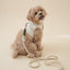 【予約】Leash