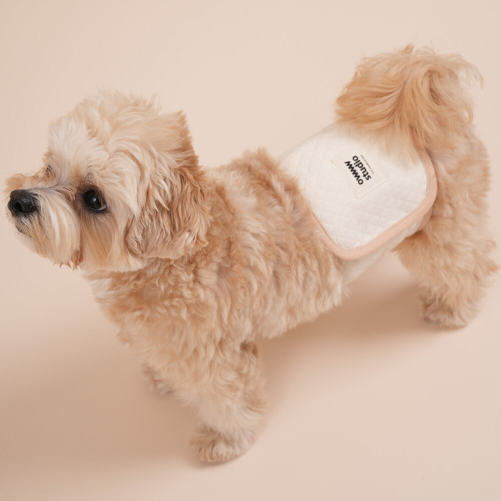 【即納】Organic Manner Belt