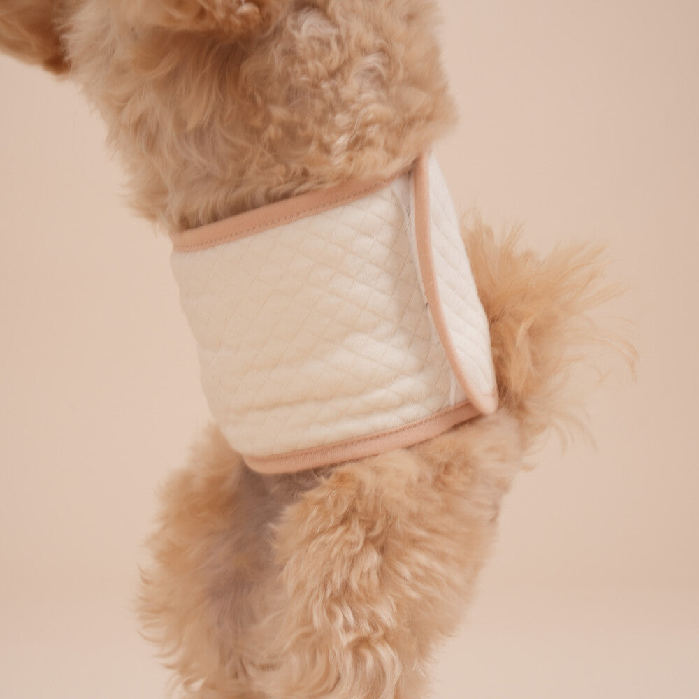 【即納】Organic Manner Belt