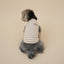 【予約】Organic Simple Sleeveless Tee