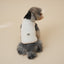 【予約】Organic Quilted Vest