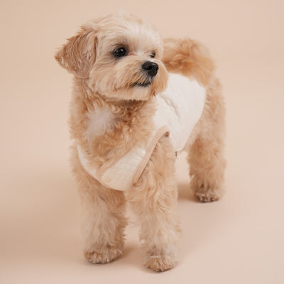 【予約】Organic Quilted Vest