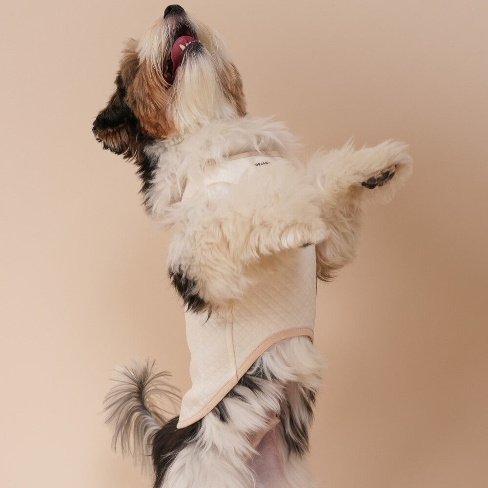 【予約】Organic Quilted Vest