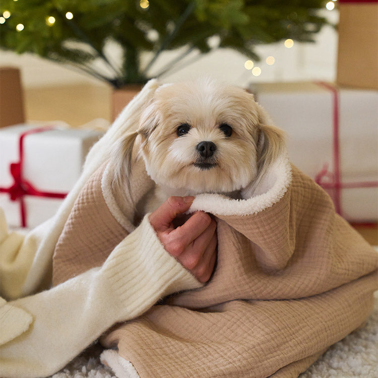 【予約】bebe pocket blanket