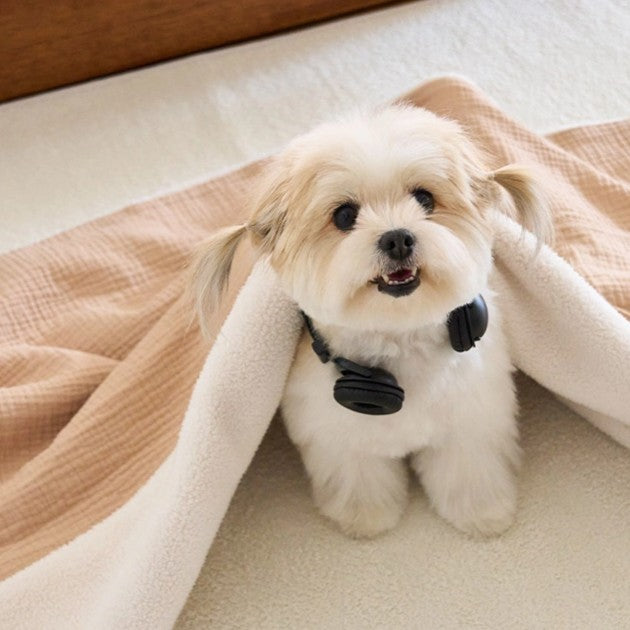 【予約】bebe pocket blanket