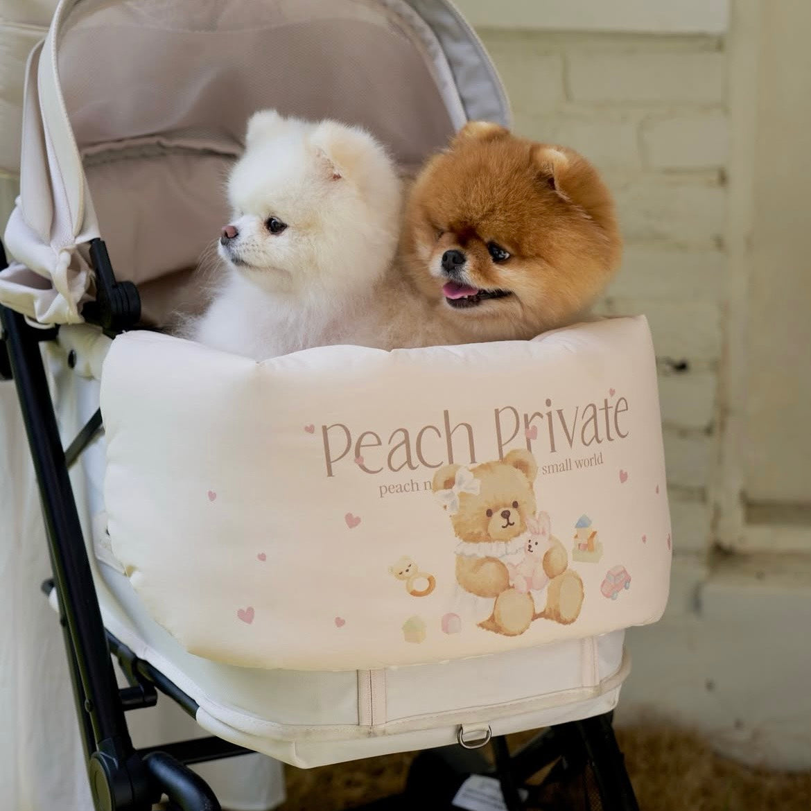 【予約】Buggy Guard