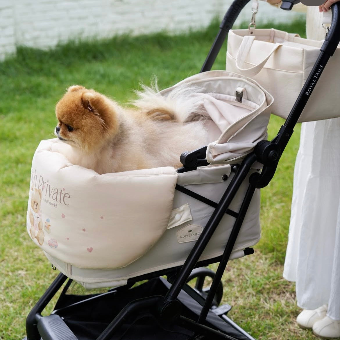 【予約】Buggy Guard