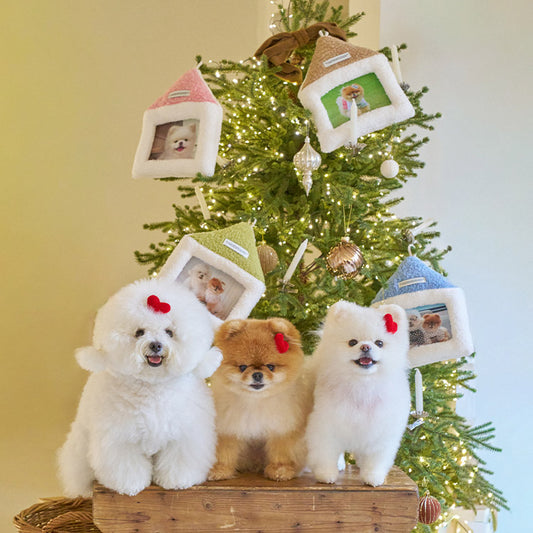 【予約】house snow frame（アクリルミラー別売り）