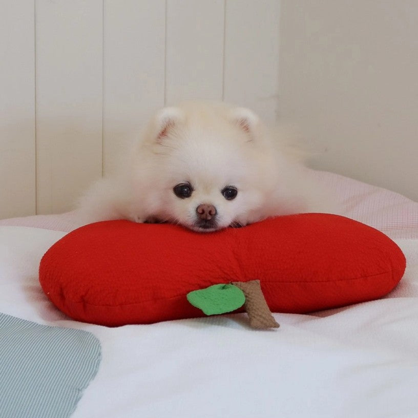 【予約】mini pillow