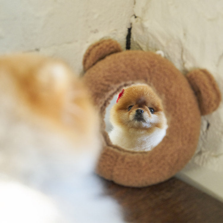 【予約】teddy snow frame（アクリルミラー別売り）