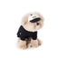 【予約】humanwalker ballcap  (DOG)