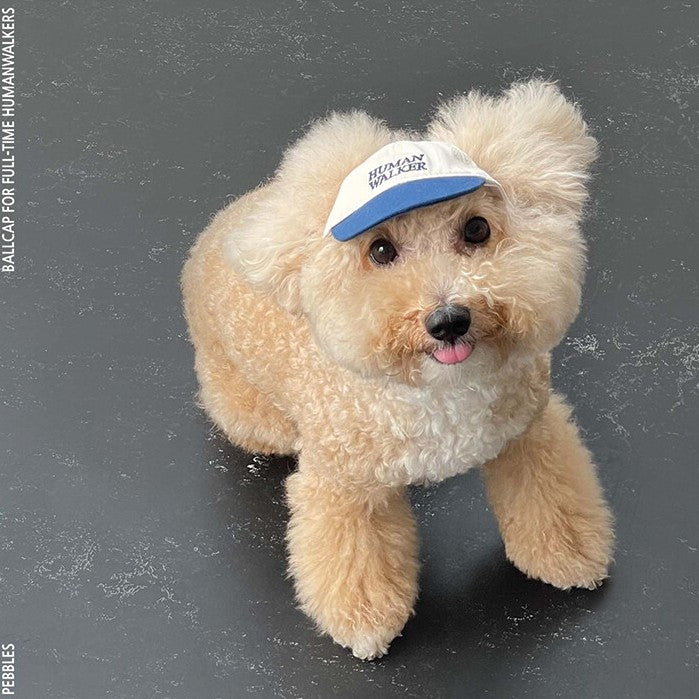 【予約】humanwalker ballcap  (DOG)