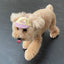 【予約】humanwalker ballcap  (DOG)