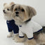 【予約】Small one cotton T