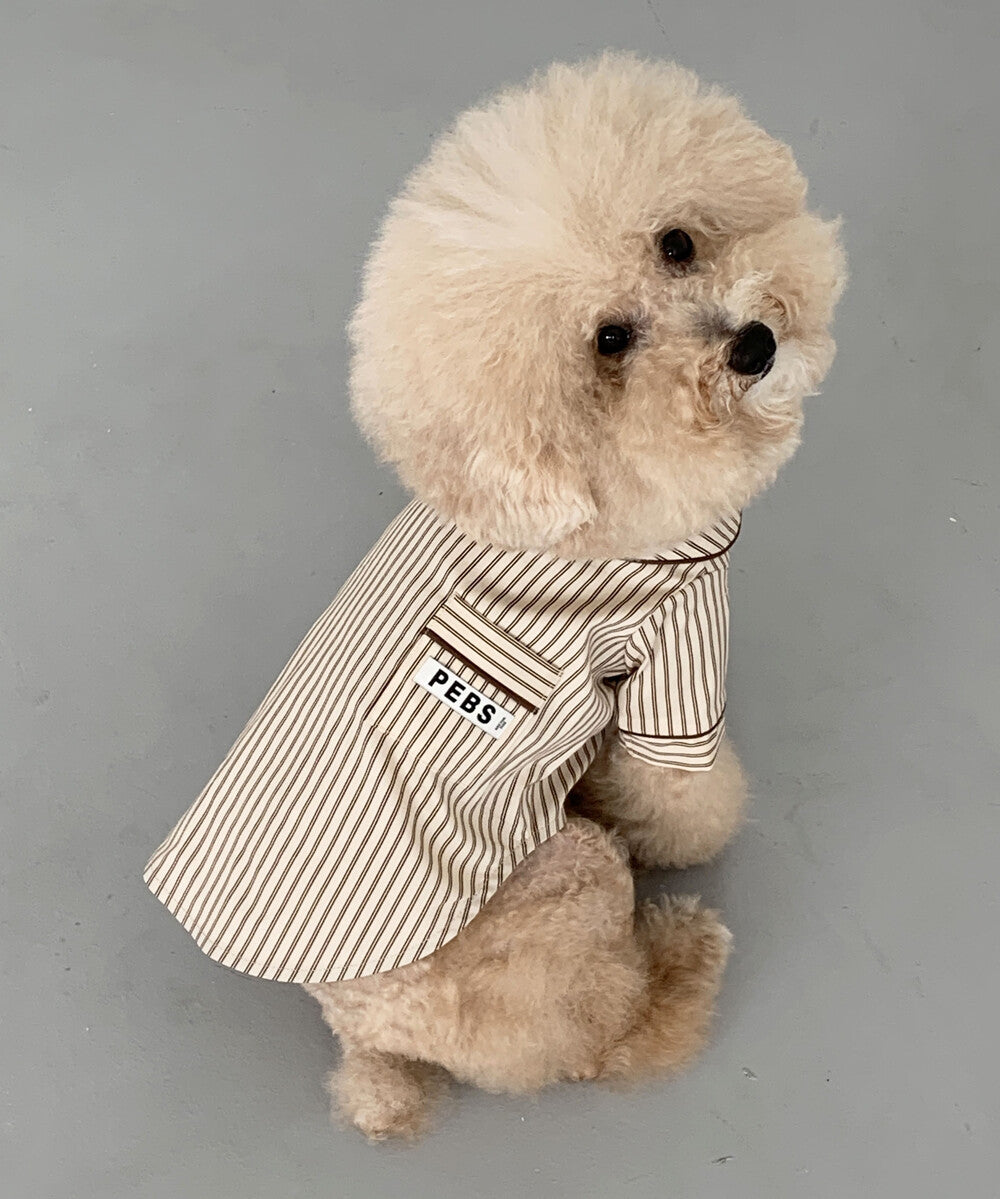 【予約】Striped shirt