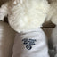 【予約】sweatshirt for humanwalkers