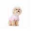 【予約】WARM FRILL-FRILL T