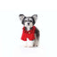 【予約】WARM FRILL-FRILL T