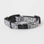 【予約】A DOG IN PARIS COLLAR