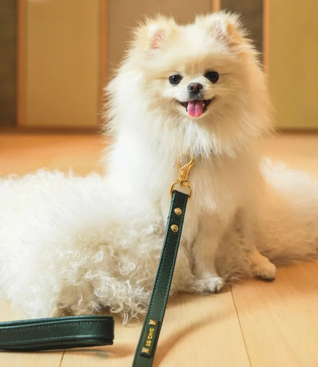 【予約】DOG LEASH