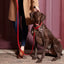 【予約】DOG LEASH