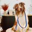 【予約】DOG LEASH