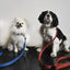 【予約】DOG LEASH