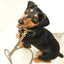 【予約】DOG LEASH