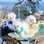 【受注生産】16th sky weave & yellow breeze rorobag｜犬用キャリーバッグ