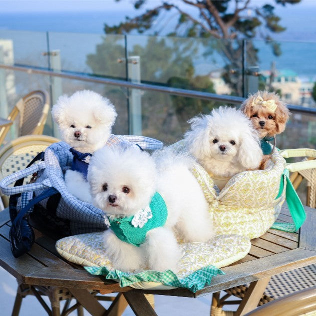 【受注生産】16th sky weave & yellow breeze rorobag｜犬用キャリーバッグ
