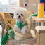 【受注生産】16th sky weave & yellow breeze rorobag｜犬用キャリーバッグ
