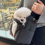 【受注生産】3rd cotton needbag black｜犬用キャリーバッグ・スリングバッグ