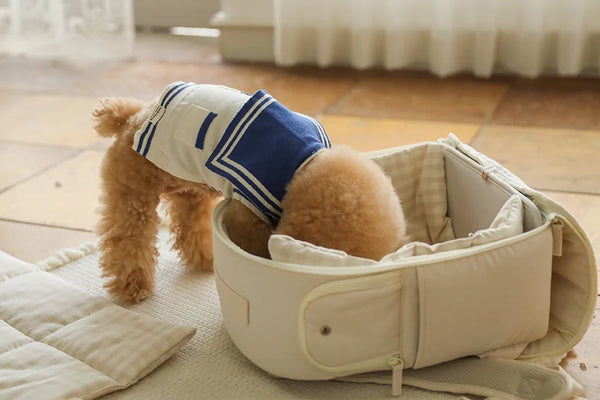 【予約】ソフトカーブ バックパック｜犬用キャリーバッグ