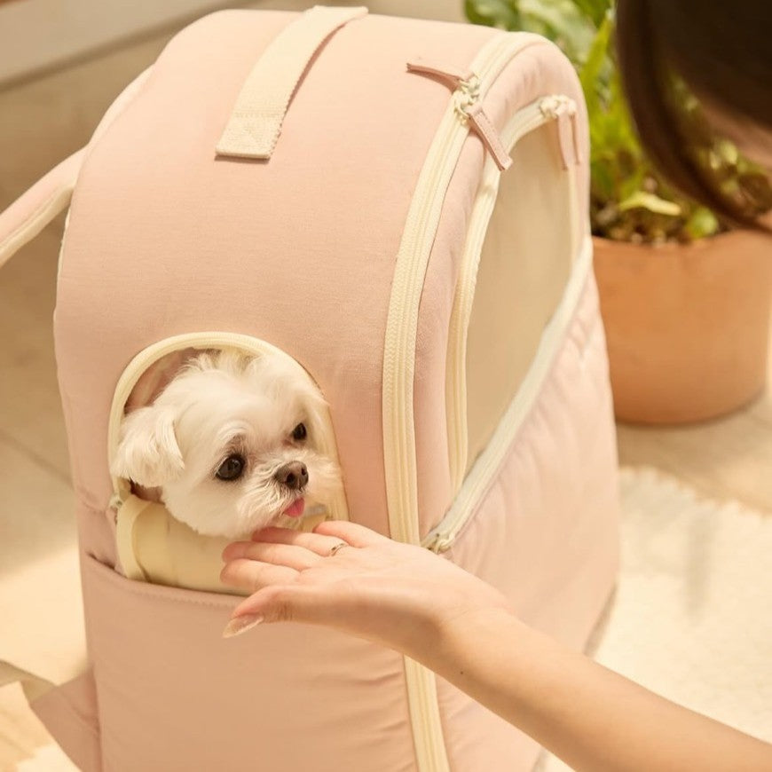 【予約】ソフトカーブ バックパック