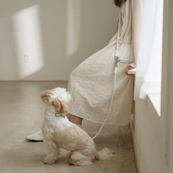 【予約】Multi leash - Main（※単品利用不可）