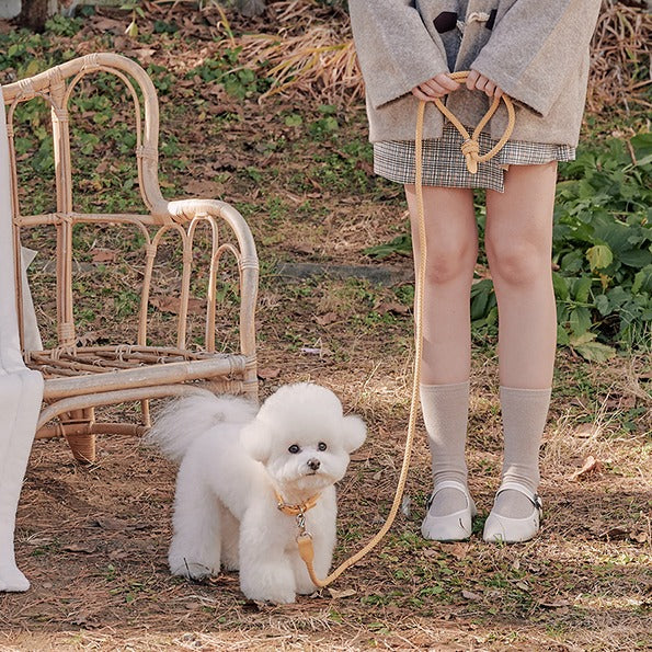 【予約】Rope leash classic - 1.8m（バナナ）