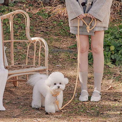 【予約】Rope leash classic - 1.8m（バナナ）