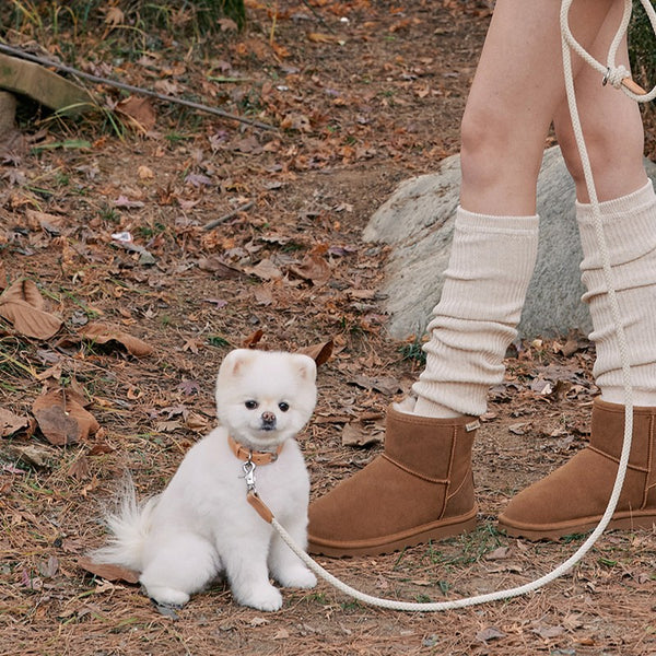 【予約】Rope leash classic - 1.8m（ベージュ）