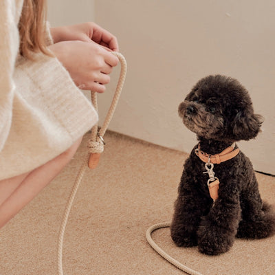 【予約】Rope collar（ベージュ）