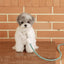 【予約】Rope leash classic - 1.8m（フォレストグリーン）