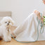【予約】Rope leash classic - 1.8m（フォレストグリーン）
