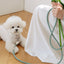 【予約】Rope leash classic - 1.8m（フォレストグリーン）