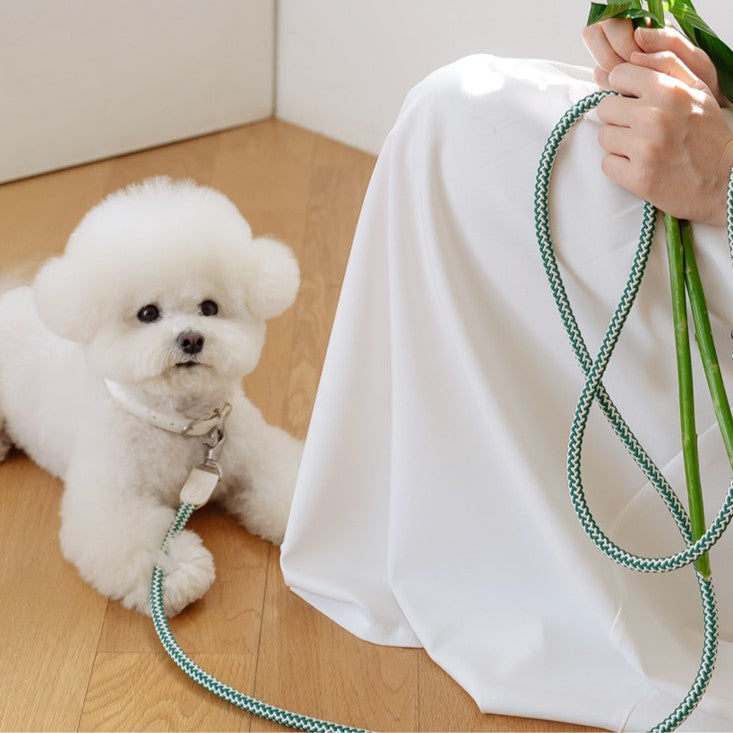 【予約】Rope leash classic - 1.8m（フォレストグリーン）