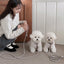 【予約】Rope leash classic - 1.8m（アッシュグレー）