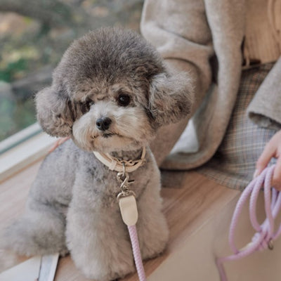 【予約】Rope collar（ライラック）
