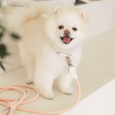 【予約】Rope collar（コーラル）