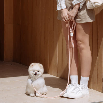 【予約】Rope leash classic - 1.8m（コーラル）