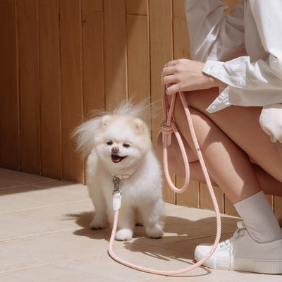 【予約】Rope collar（コーラル）